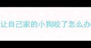 让自己家的小狗咬了怎么办