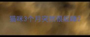 猫咪3个月突然很能睡