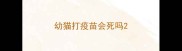 幼猫打疫苗会死吗