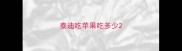 泰迪吃苹果吃多少