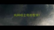 纯种哈士奇的智商
