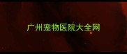 广州宠物医院大全网