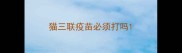 猫三联疫苗必须打吗
