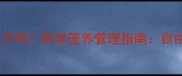 哈士奇必须关笼子吗科学笼养管理指南自由与安全的平衡