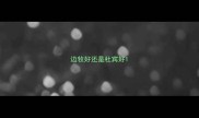边牧好还是杜宾好