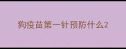 狗疫苗第一针预防什么