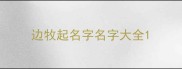 边牧起名字名字大全