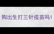 狗出生打三针疫苗吗