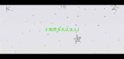 小狗养多久认主人