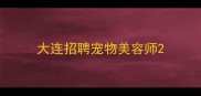 大连招聘宠物美容师