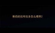 断奶的拉布拉多怎么喂养
