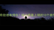 全网爆火的哈士奇脸谱表情包哈士奇最上镜的10个表情姿势大公开