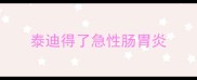 泰迪得了急性肠胃炎