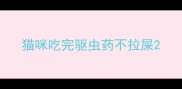 猫咪吃完驱虫药不拉屎