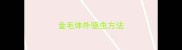 金毛体外驱虫方法