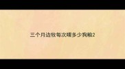 三个月边牧每次喂多少狗粮