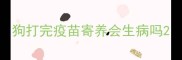 狗打完疫苗寄养会生病吗