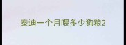 泰迪一个月喂多少狗粮