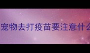 带宠物去打疫苗要注意什么