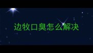 边牧口臭怎么解决