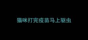 猫咪打完疫苗马上驱虫
