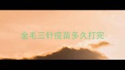 金毛三针疫苗多久打完