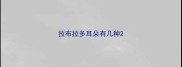 拉布拉多耳朵有几种
