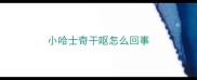小哈士奇干呕怎么回事