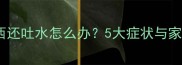 小狗不吃东西还吐水怎么办5大症状与家庭护理指南