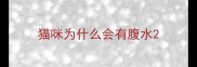 猫咪为什么会有腹水
