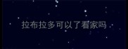 拉布拉多可以了看家吗