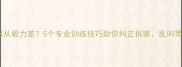 边牧服从能力差5个专业训练技巧助你纠正拆家乱叫等问题