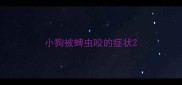 小狗被蜱虫咬的症状