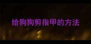 给狗狗剪指甲的方法
