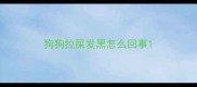 狗狗拉屎发黑怎么回事