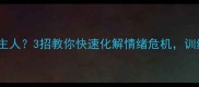 边牧生气报复主人3招教你快速化解情绪危机训练指南附赠