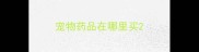宠物药品在哪里买