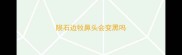 陨石边牧鼻头会变黑吗
