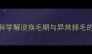 小狗掉毛是否正常科学解读换毛期与异常掉毛的7大原因及应对方案