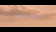 小狗患有肠胃疾病