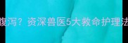 幼猫接种疫苗后疯狂腹泻资深兽医5大救命护理法附48小时急救流程图