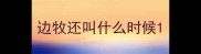 边牧还叫什么时候