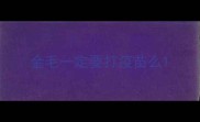 金毛一定要打疫苗么