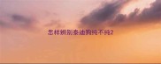 怎样辨别泰迪狗纯不纯
