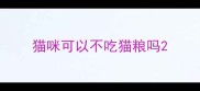 猫咪可以不吃猫粮吗