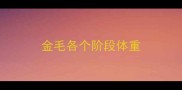 金毛各个阶段体重