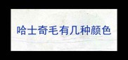 哈士奇毛有几种颜色