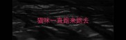 猫咪一直跑来跑去