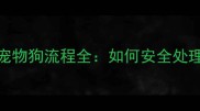 宠物店收购宠物狗流程全如何安全处理闲置爱犬