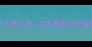 哈士奇半夜狂叫不止怎么办5大紧急应对指南及长期养护策略